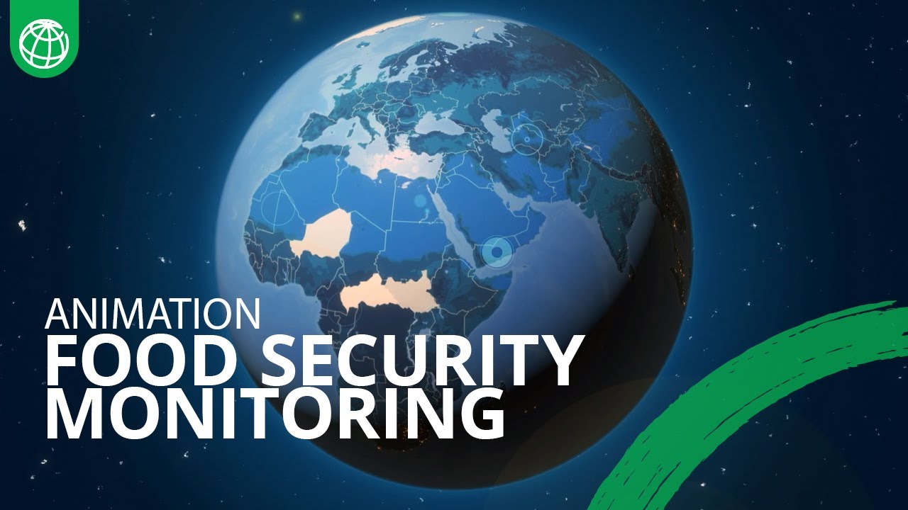 Faster, Smarter Food Security Monitoring: Introducing the Joint Monitoring Report