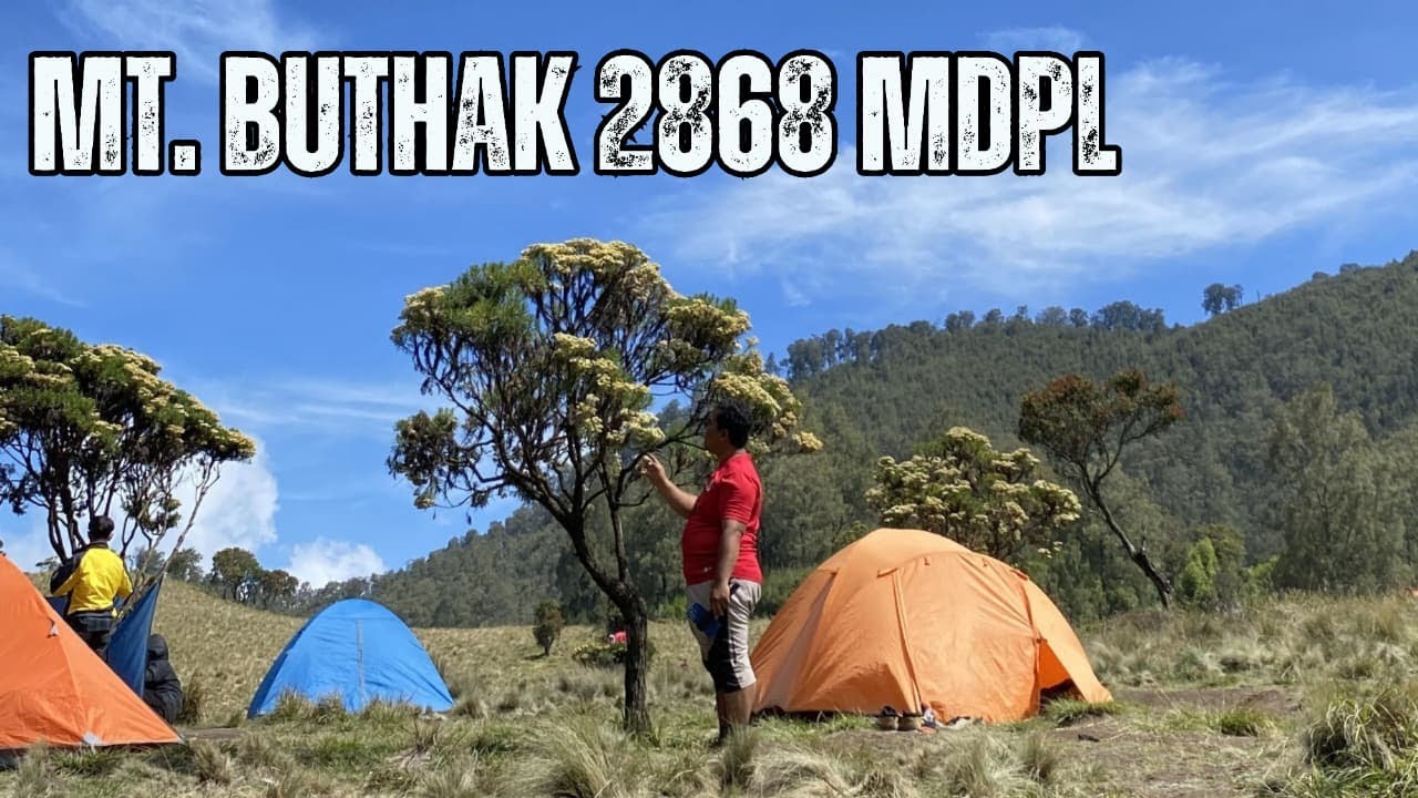 Camping Seru di Sabana Gunung Buthak 2868 Mdpl || Muncak yang Bikin Jantung Berdecak !!