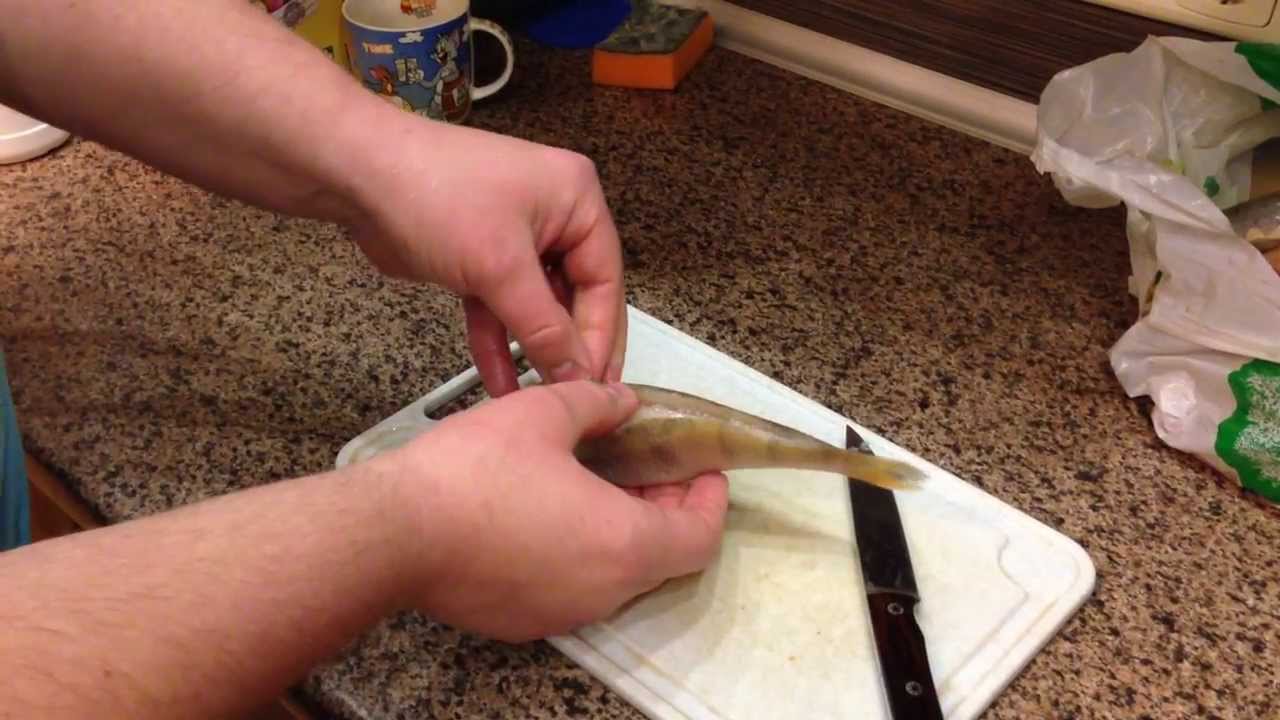 How to clean a perch / Как разделать окуня / Kaip i&scaron;darinėti e&scaron;erį