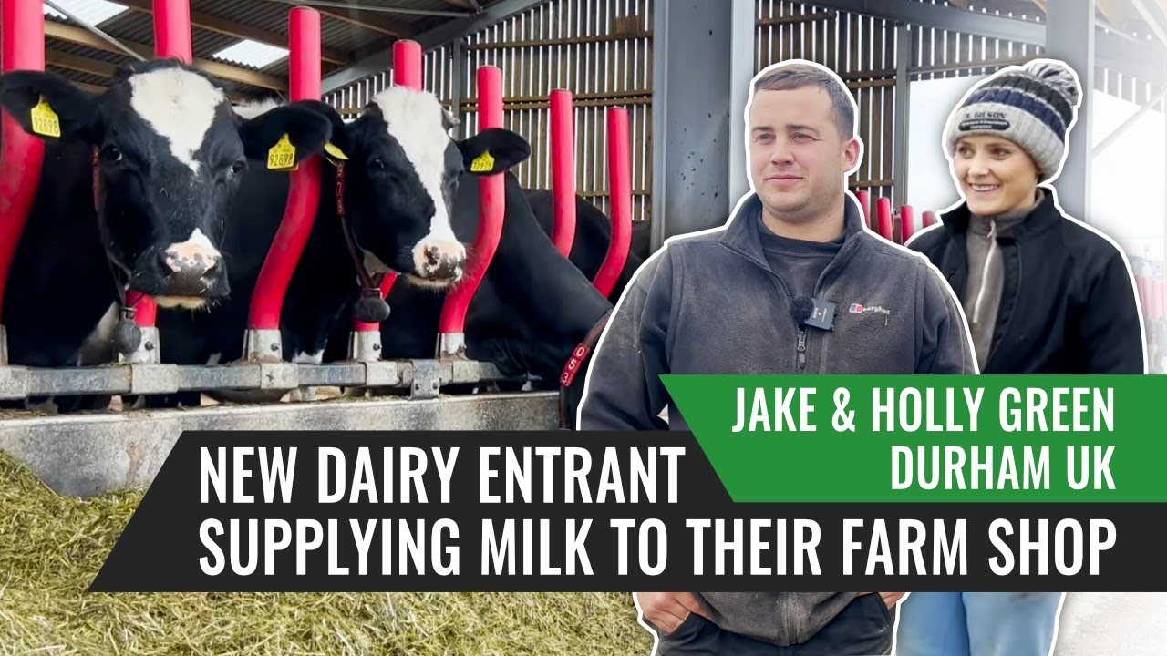 New Dairy Entrant Supplying Milk to Their Farm Shop - Jake & Holly Green, Durham,  UK