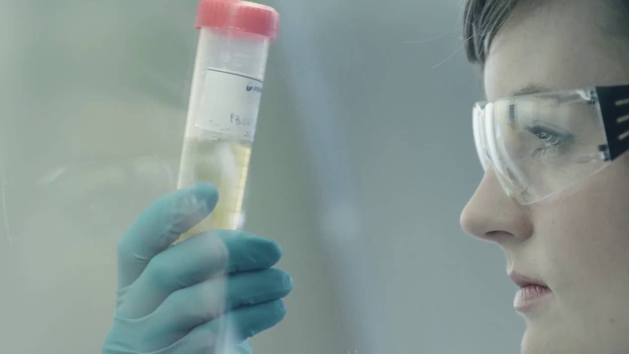 Film o działalności Polpharma Biologics w Gdańsku