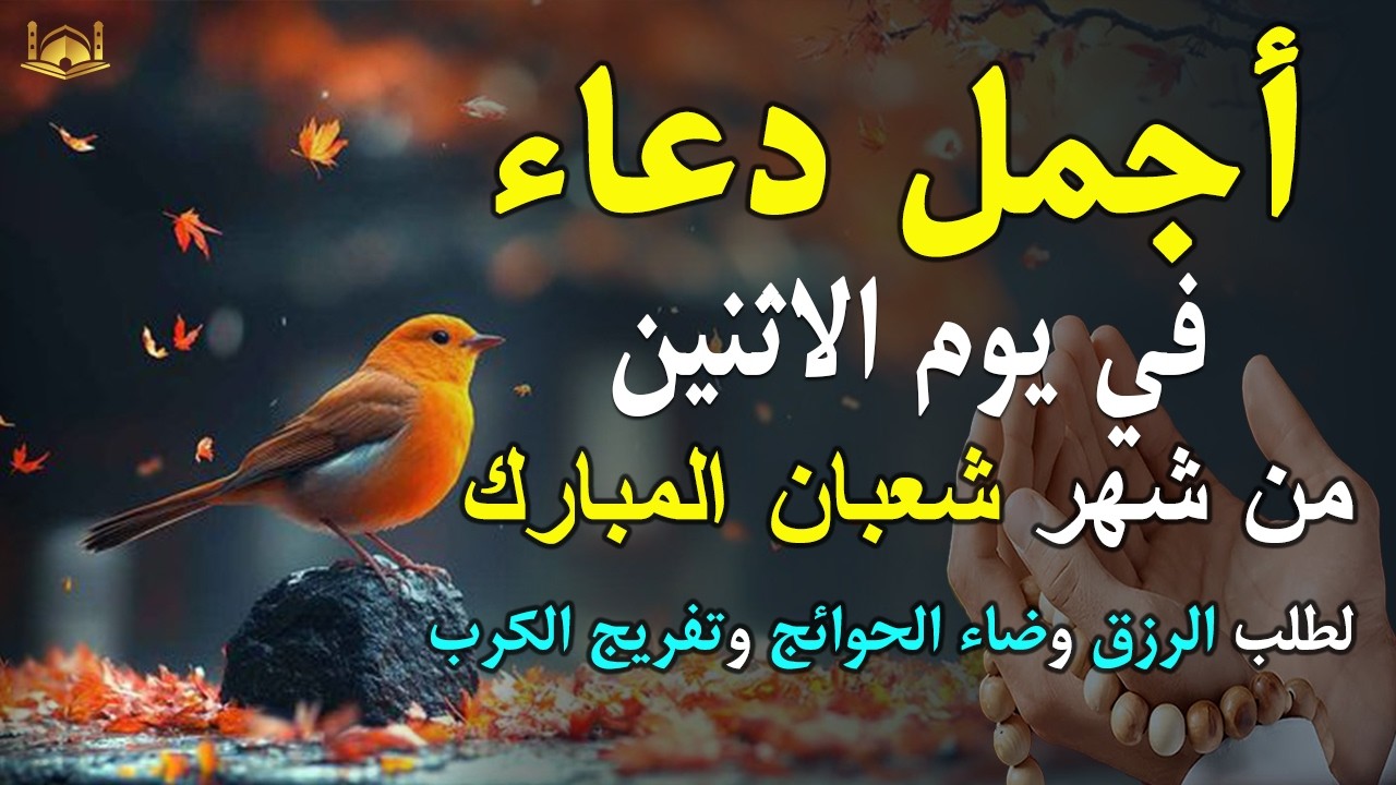 دعاء فى يوم الاحد المستجاب دعاء في يوم 27 من شهر شعبان للرزق والشفاء العاجل وقضاء الحوائج 🤲(4k)