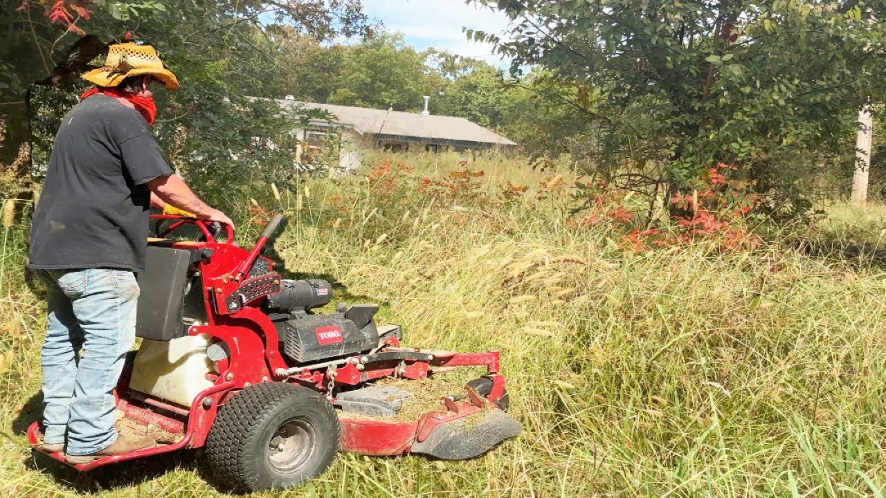 “The Overgrown Trap: “I Got My Mower Stuck in Copperhead Country