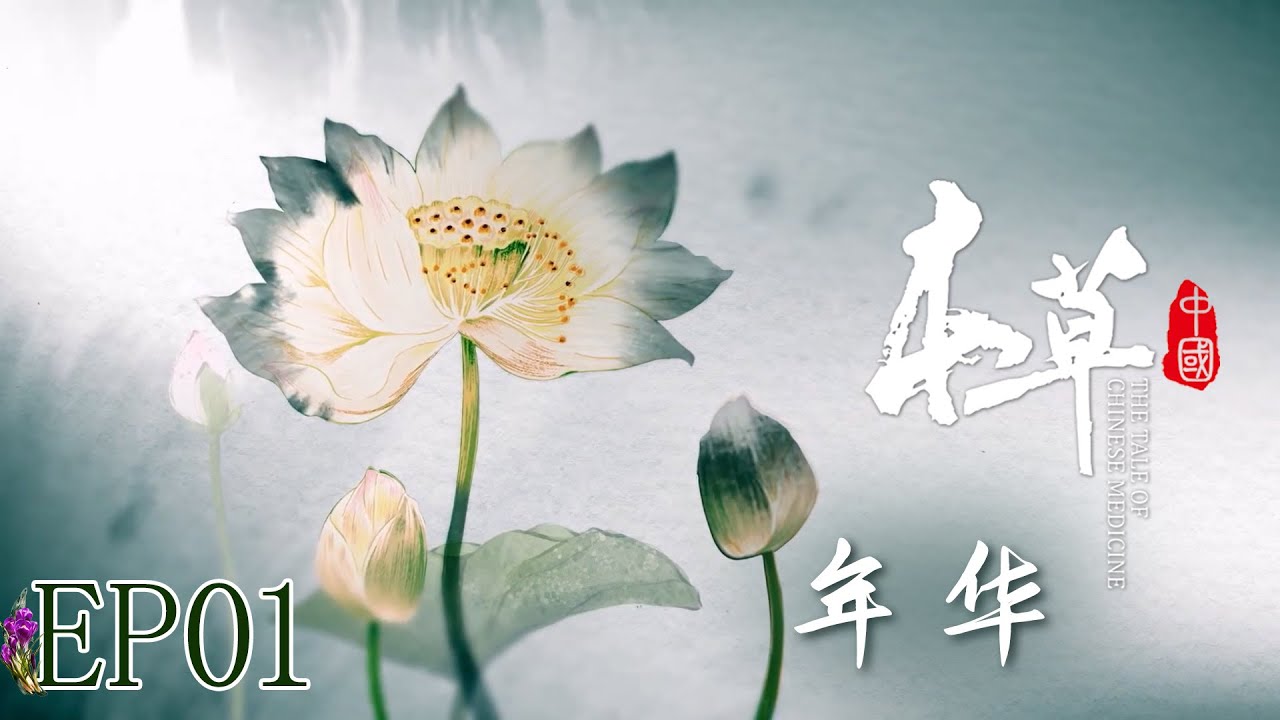 【本草中国】第1集：三月茵陈四月蒿，五月砍来当柴烧，春秋挖根夏采草，浆果初熟花含苞 | The Tale of Chinese Medicine | 腾讯视频 - 纪录片