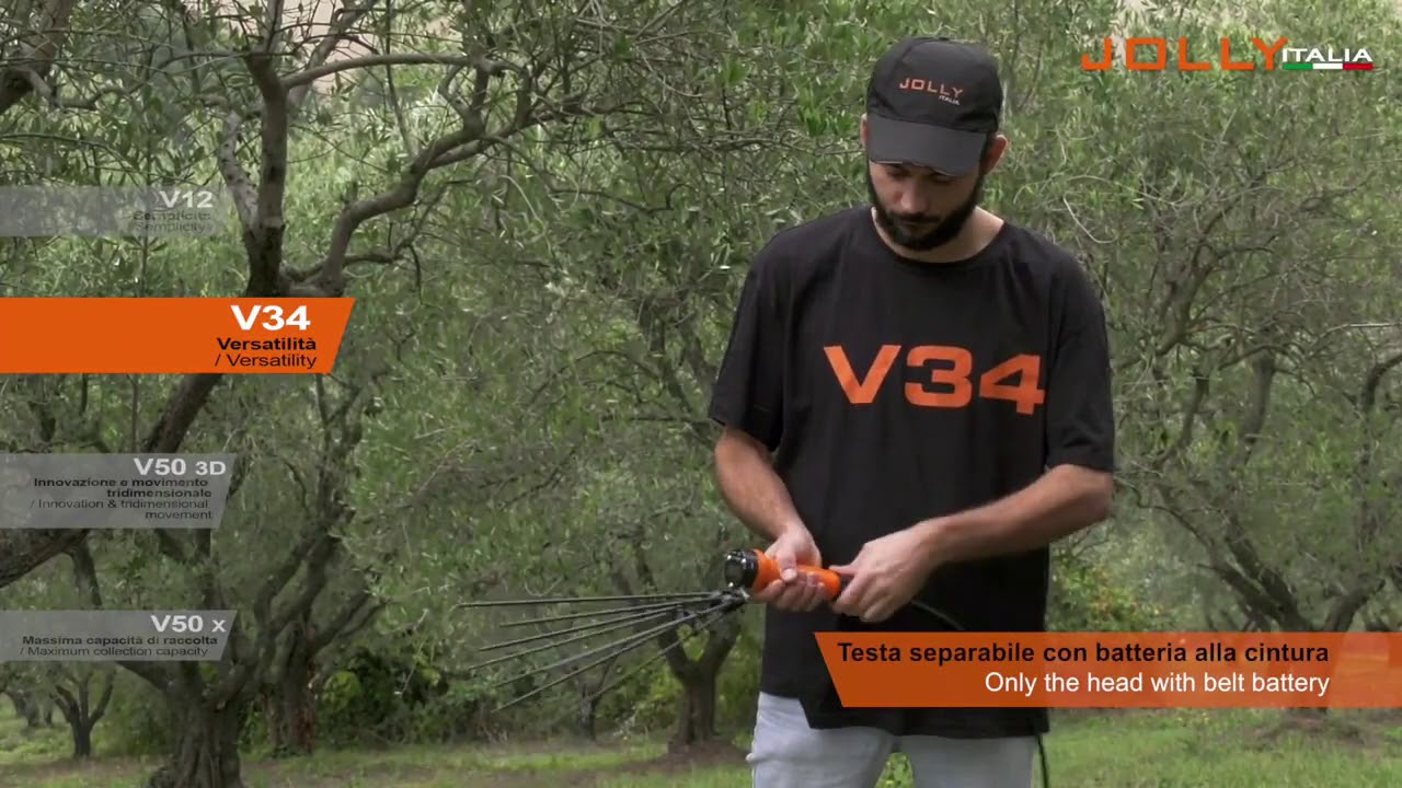 Novità 2019   Jolly Italia