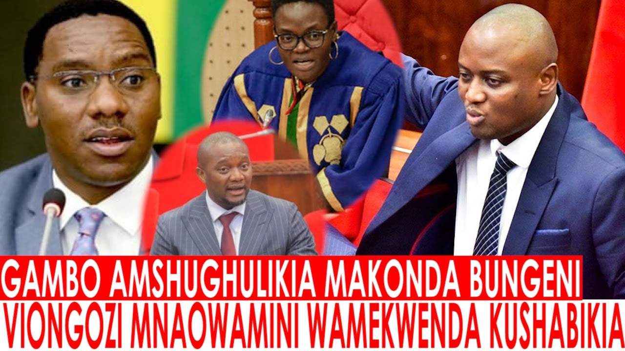 GAMBO AMSHUGHULIKIA MAKONDA BUNGENI 
