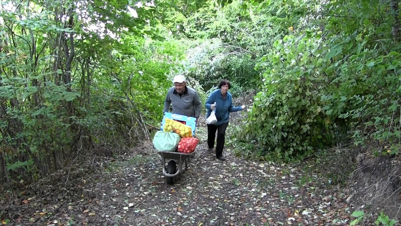 Zaboravljena duša sa planine Rogozne