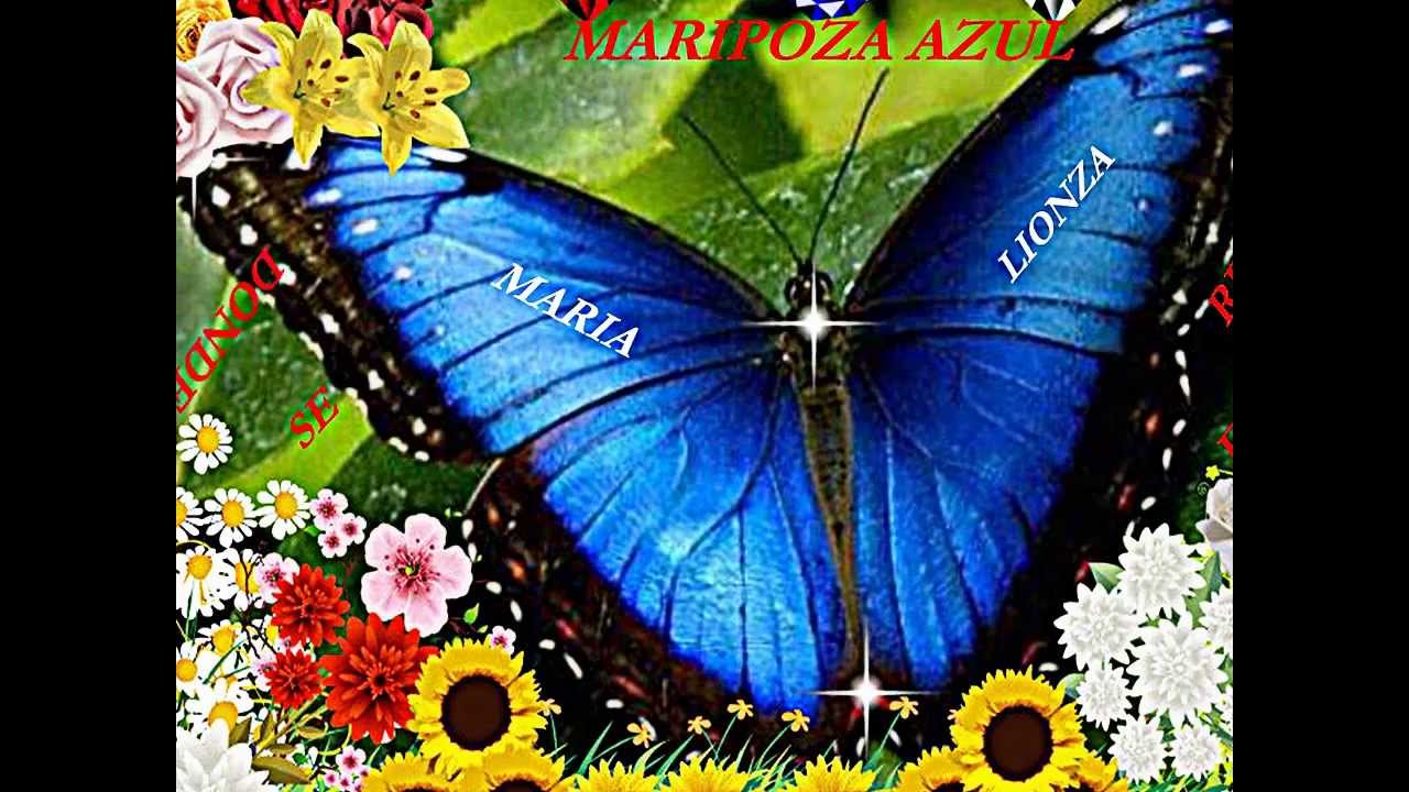 HOMENAJE A LA REINA MARIA LIONZA