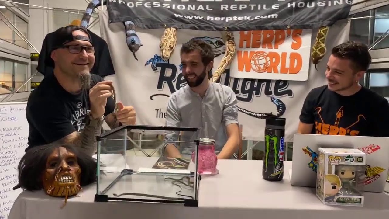 Pour tout savoir sur l'élevage des couleuvres piscivores regarde le nouvel épisode d'Herp's World !
