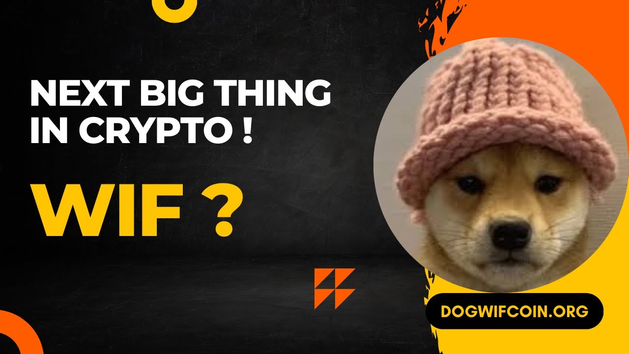 Why #Dogwifhat (WIF) is the Next Big Thing In #crypto ?