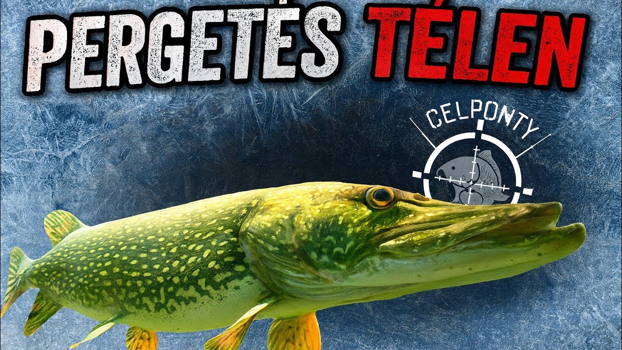 Első téli pergetésem – sikerült csukát fognom!