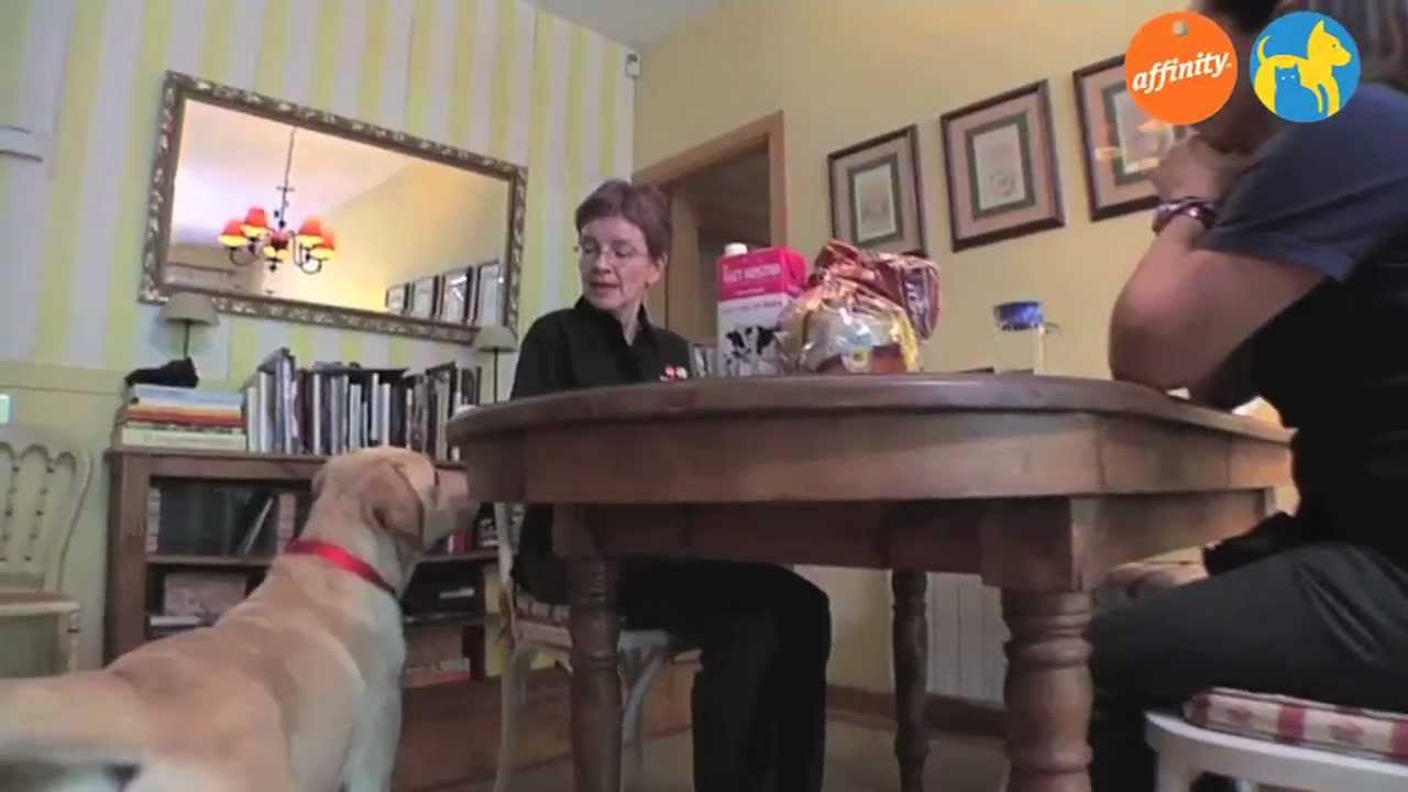 Educa2: El momento de la comida - Más que perros y gatos 6 | Fundación Affinity