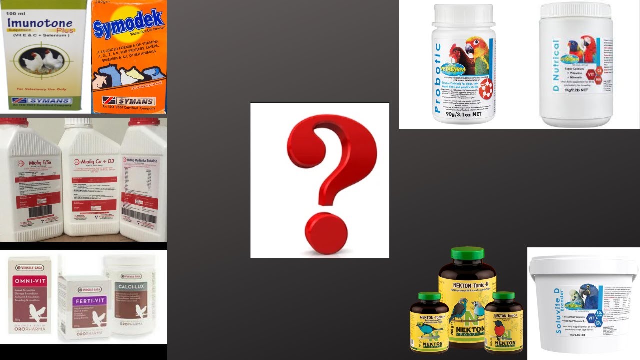 Calcium, and multivitamins during the upcoming breeding season | Breeding season medicine. HWI