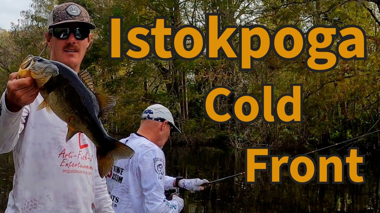 Istokpoga December Post Cold Front