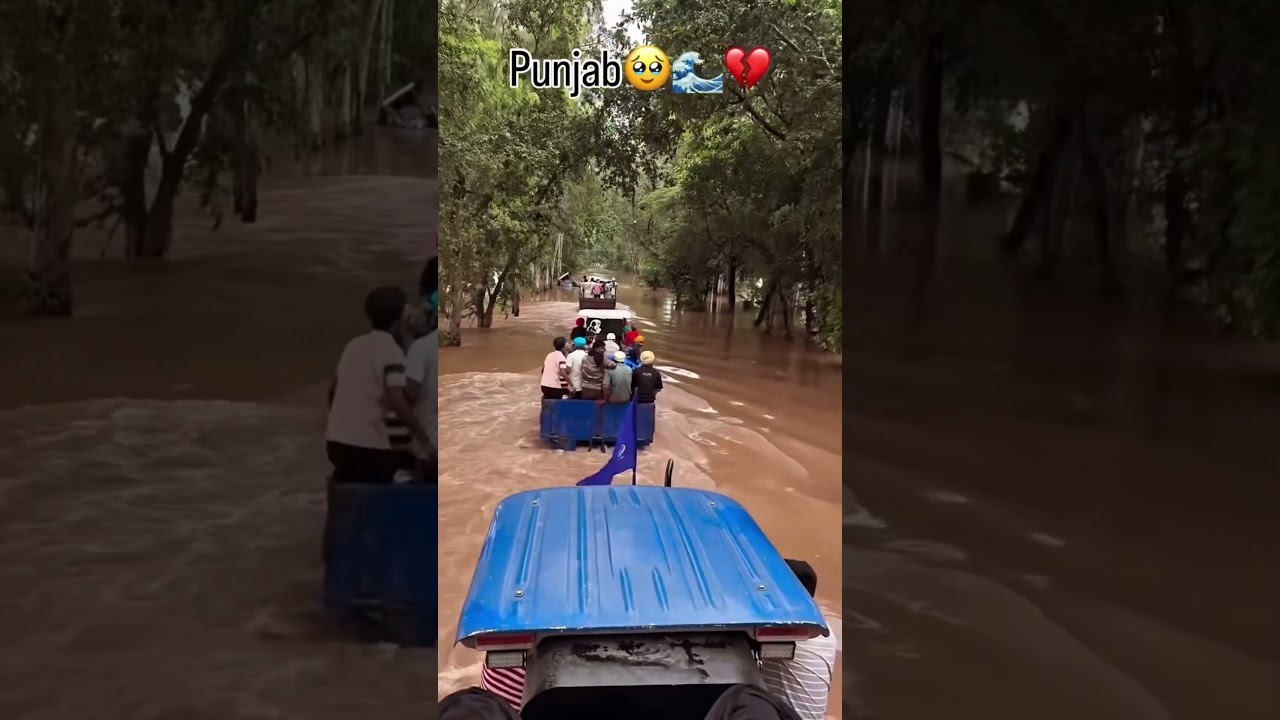 Punjab Floods 2025💔 #youtubeshorts #punjabfloods #shorts #shortsfeed #shortsvideo #trendingshorts