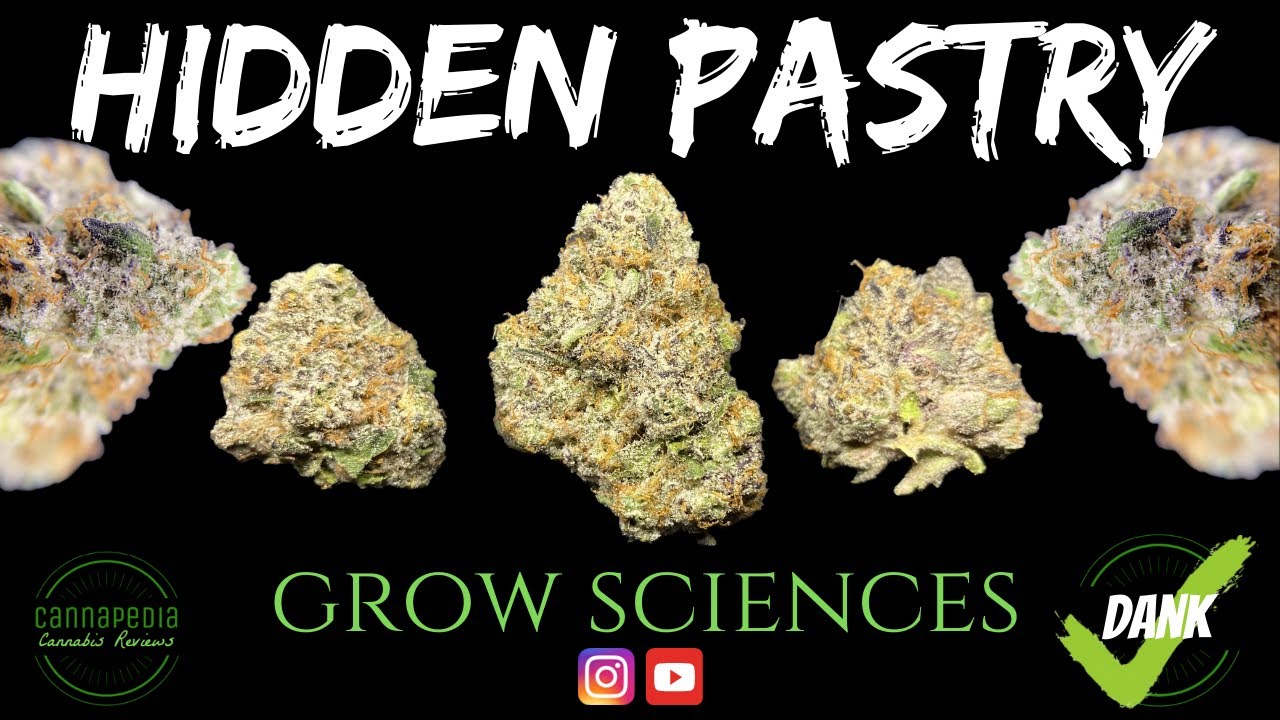 Hidden Pastry Strain Review - Grow Sciences - Cannapedia