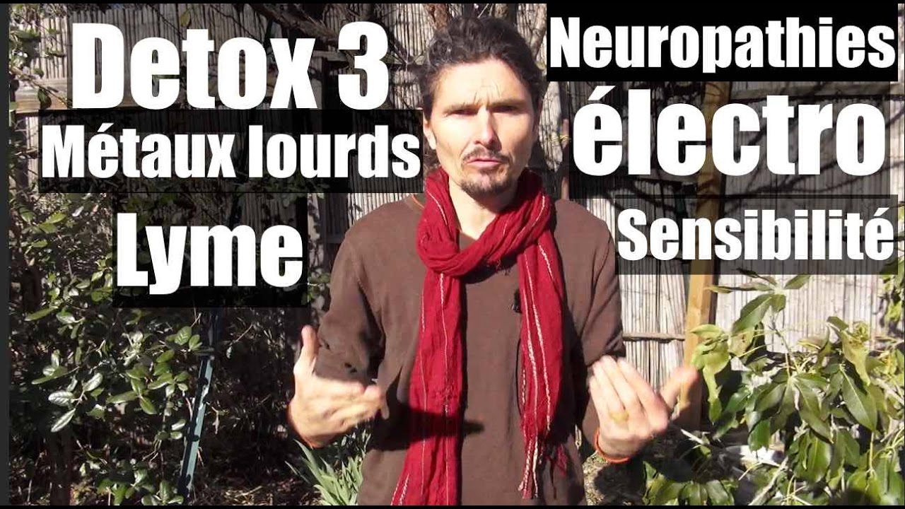 La d&eacute;tox (c'est du bidon !) 3 - Electro-sensibilit&eacute;, m&eacute;taux lourds, lyme, etc... - www.regenere.org