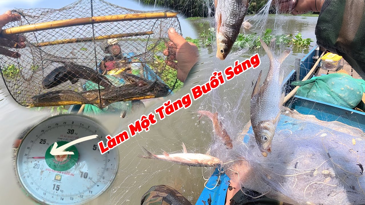 Thăm Lờ Thả Lưới Trúng Đậm Hơn 20 Ký Cá / Định Nguyễn Hậu Giang