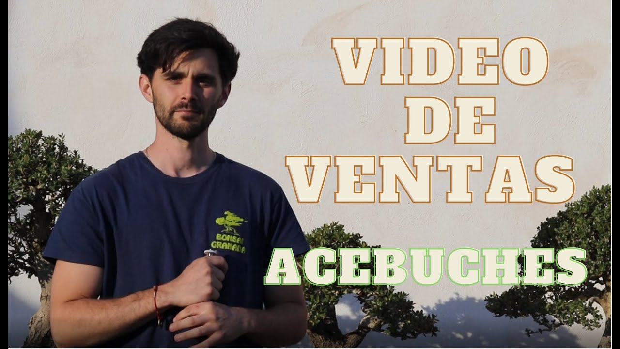 🏡🌲ACEBUCHES EN BONSAI GRANADA - VIDEO DE VENTAS