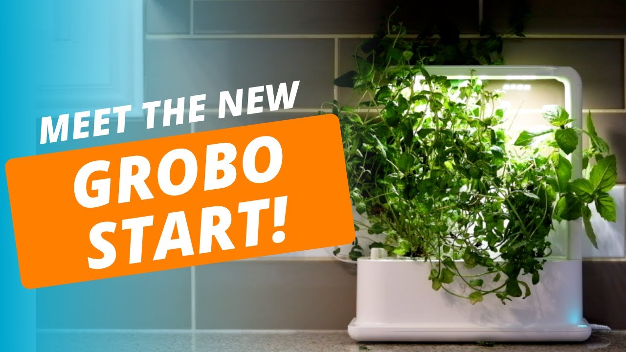 Grobo Start - Countertop Grow System