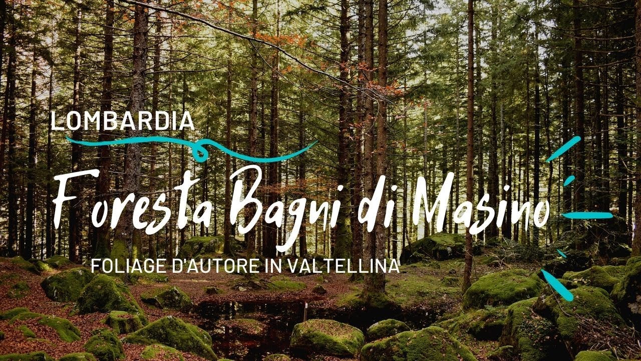 Foresta dei Bagni di Masino Sondrio in autunno