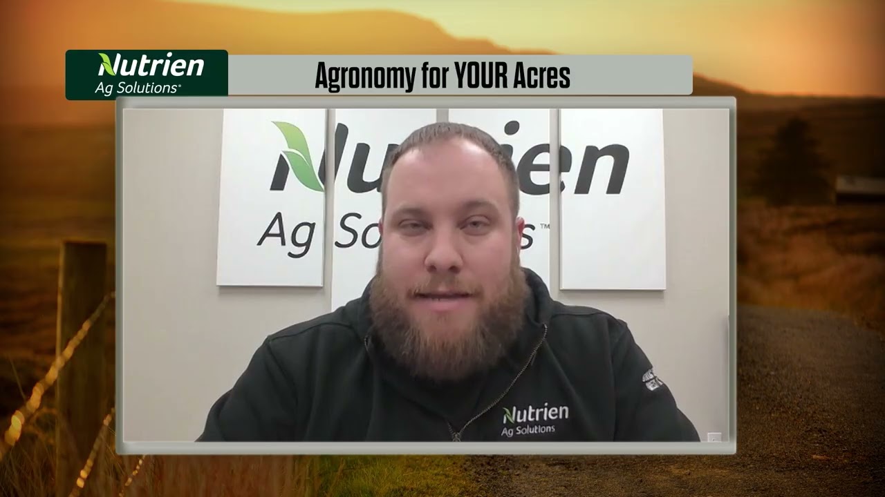 Agronomic and Economic Ways to Maximize Your 2026 Crop ROI
