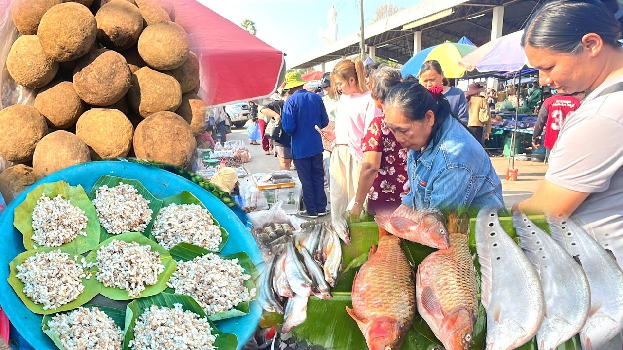 ออนซอนไข่มดแดง #ตลาดนัดไทย-ลาว นครพนม ปลาน้ำโขง ลูกเบ้า อาหารเมืองลาว #สาวลาว #สาวลาวเที่ยวไทย 