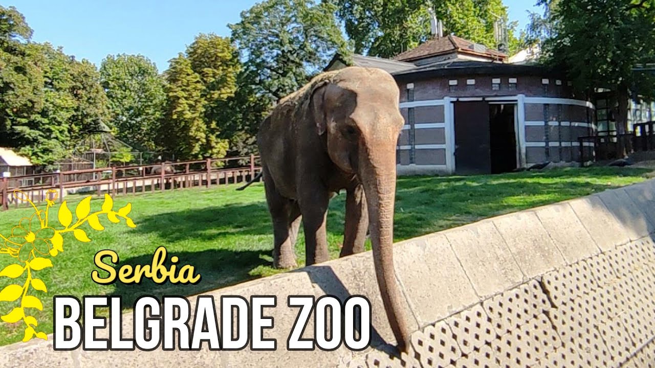 Belgrade Zoo, Serbia