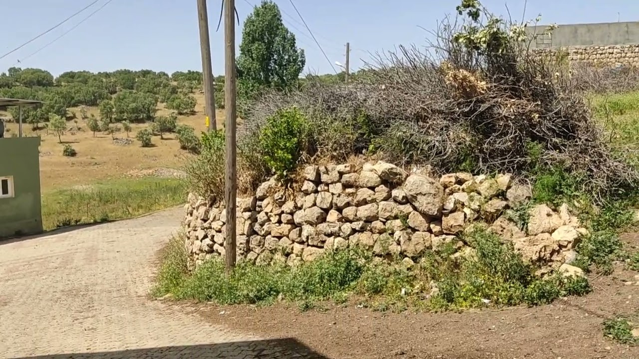 MARDİN ÖMERLİ TEKKUYU KÖYÜ MERMARE Hasan kanat