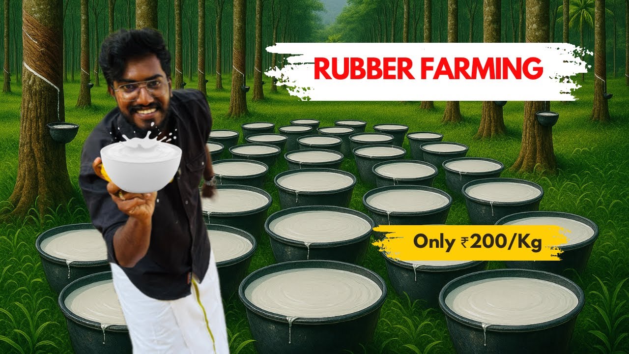 Kerala Rubber 🥛Farming 🌳 Jacob&rsquo;s Success Story 🌿 | Agrotill #FarmingIdeas #farming 