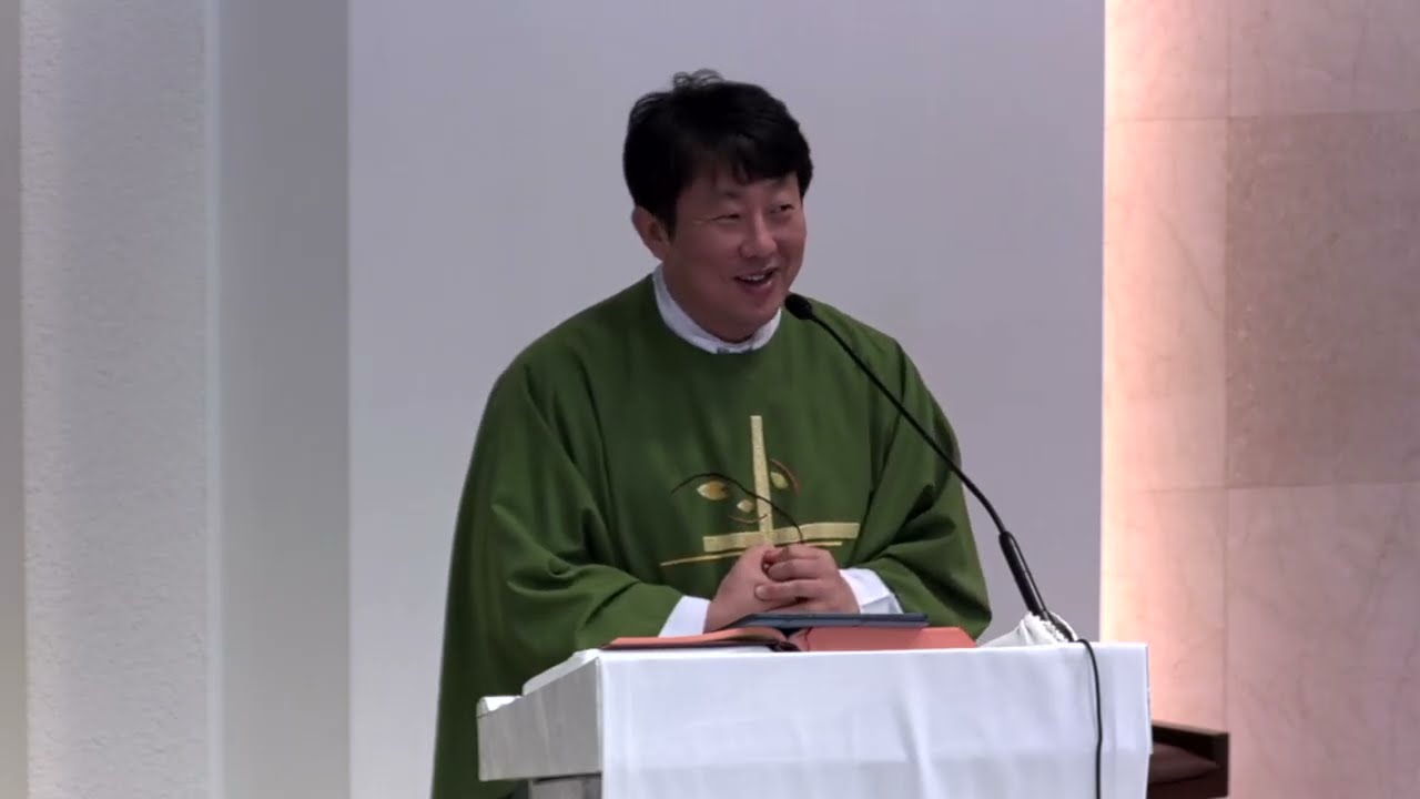 [교중미사 강론] 우리는 구원을 약속 받은 사람들입니다. 그러니 속지 맙시다. 굳건하게 예수님 안에 머무는 자녀가 됩시다. 연중 제33주일 25.11.16./ 김재덕 베드로 신부