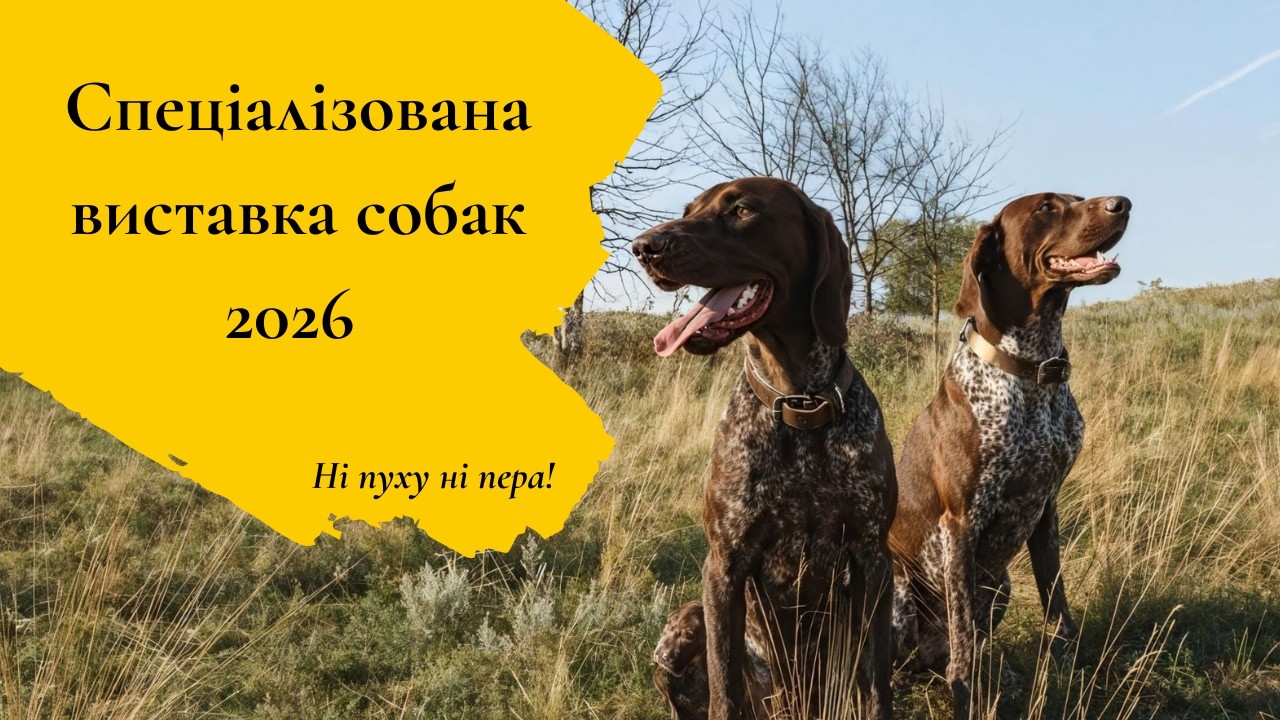 Спеціалізована виставка собак 2026 | Ні пуху ні пера
