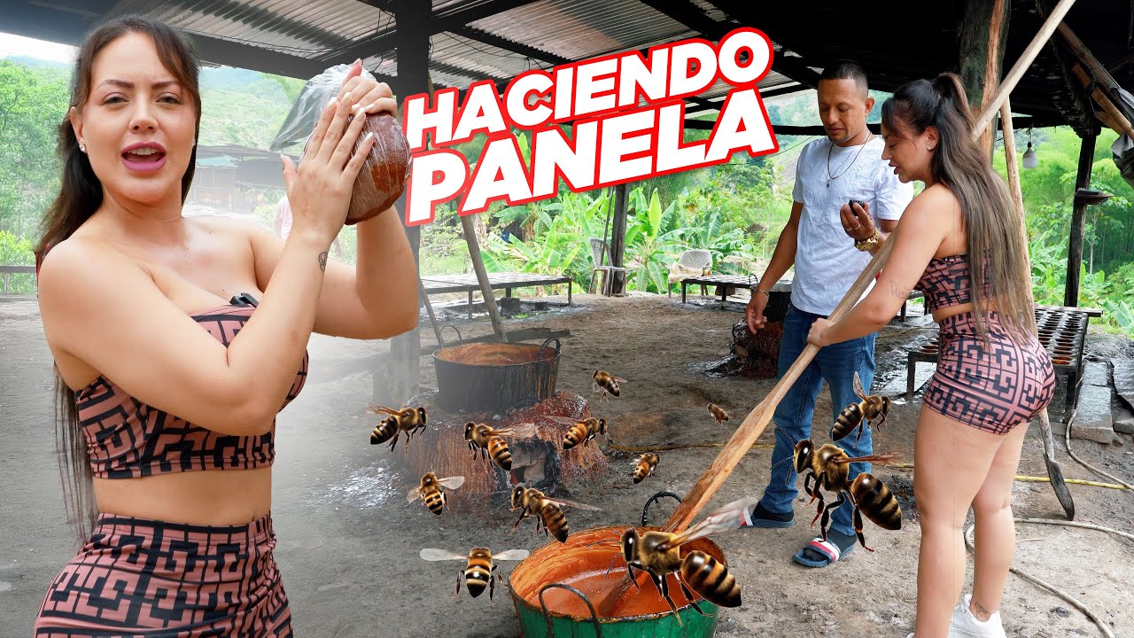 Así se hace la panela en ECUADOR 🇪🇨