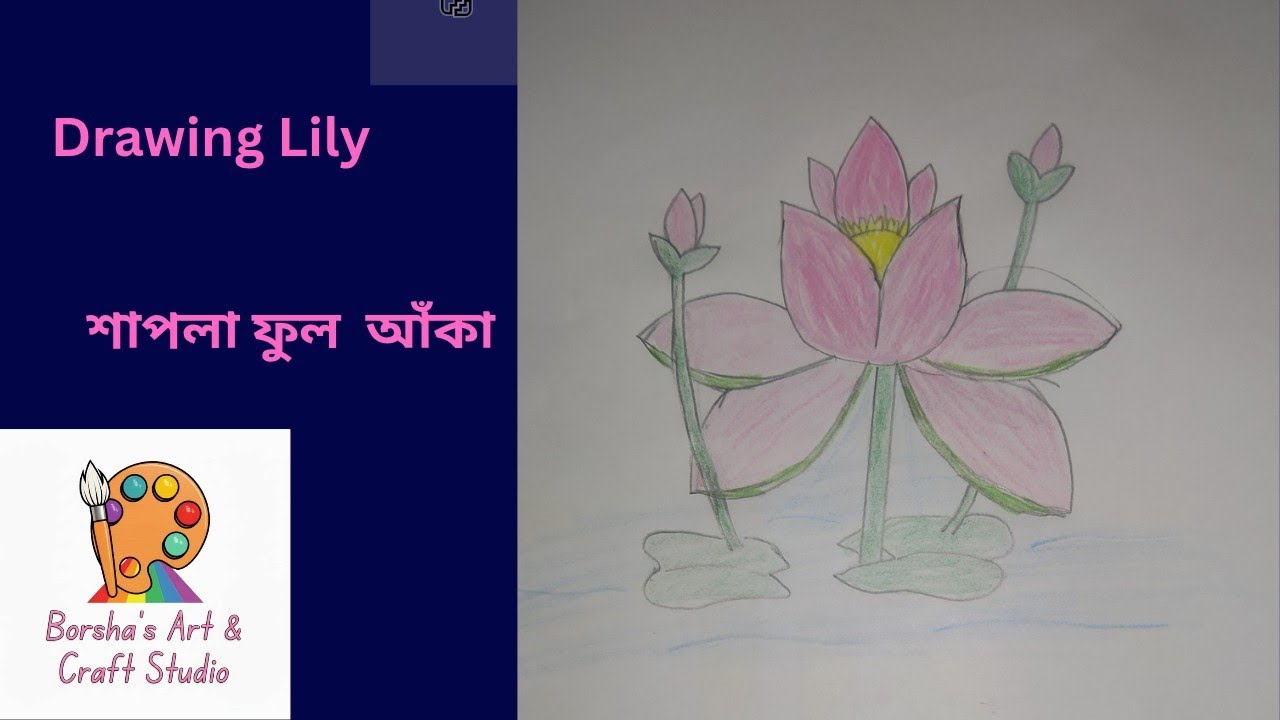 শাপলা ফুল আঁকা। Drawing Lily। @borshasartandcraftstudio 