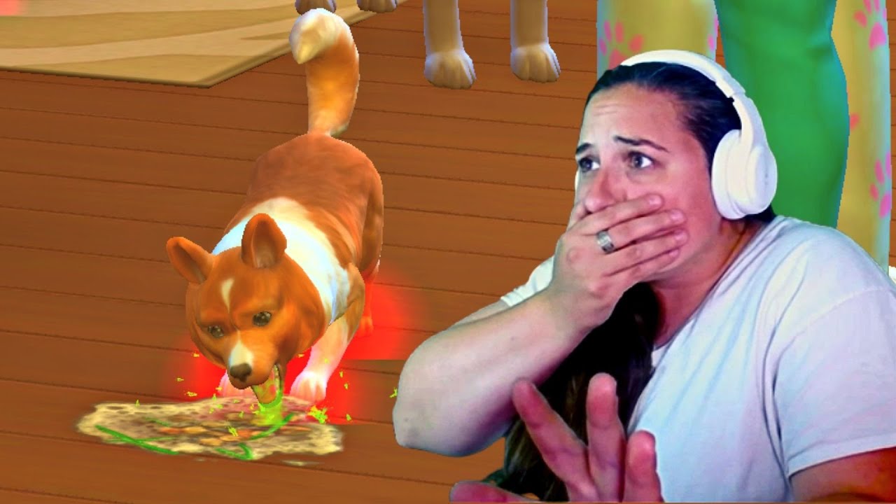 Can Owning a Vet Clinic Get You Rich in The Sims 4?