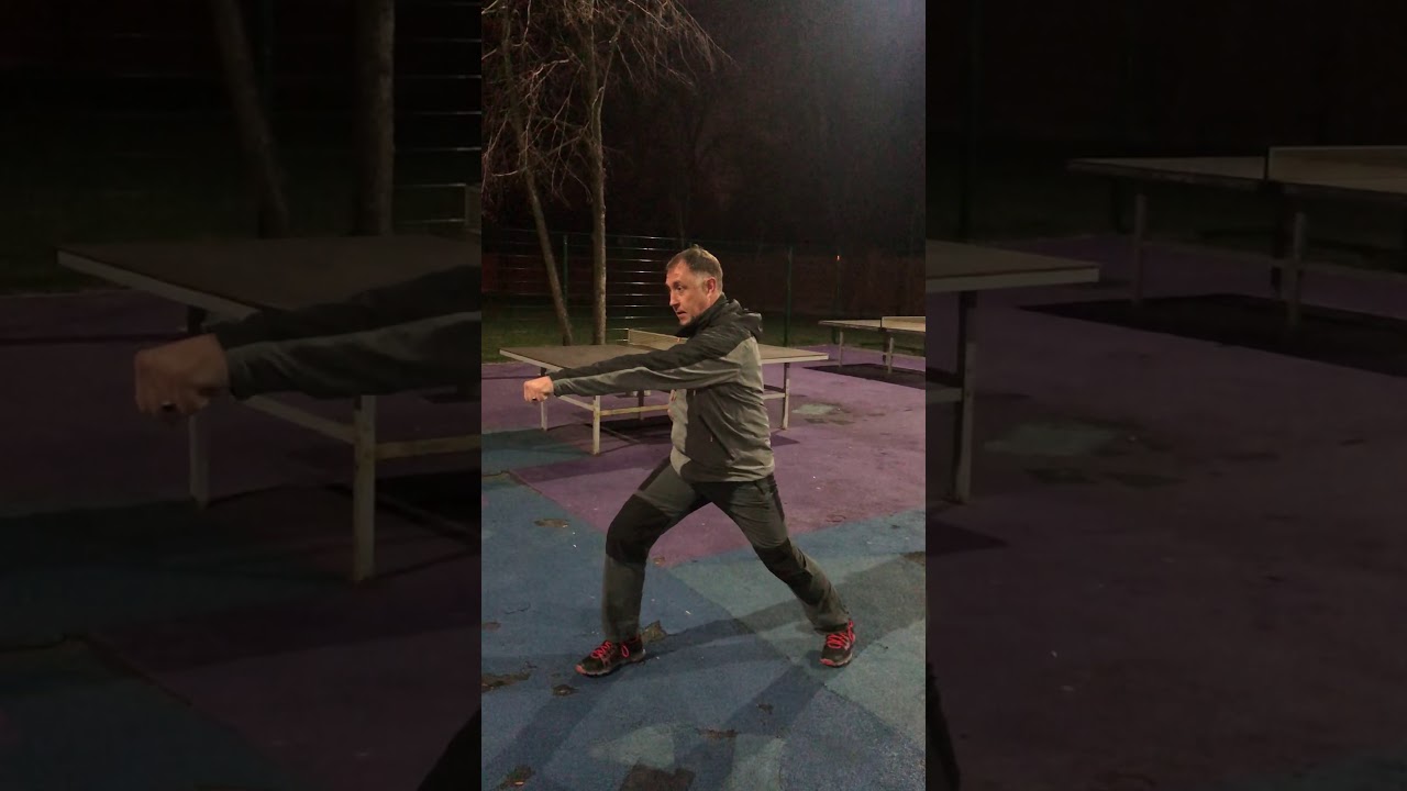 Дзесинмон Шорин Рю Карате До. Ката Сейсан.