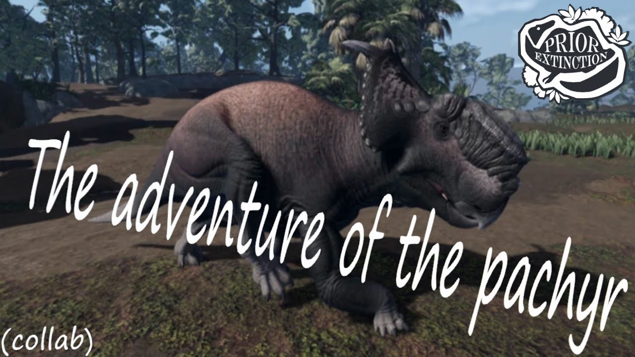 The adventure of Pachyr I Prior extinction