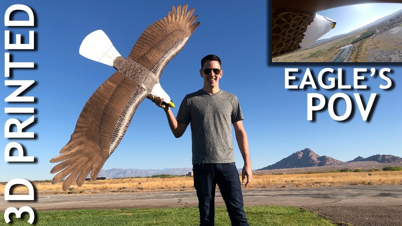 Coolest RC EVER - 3D Printed Eagle