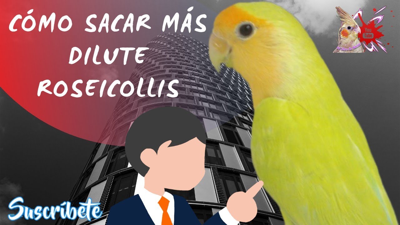 Comportamiento Genetico de Esta Mutacion.