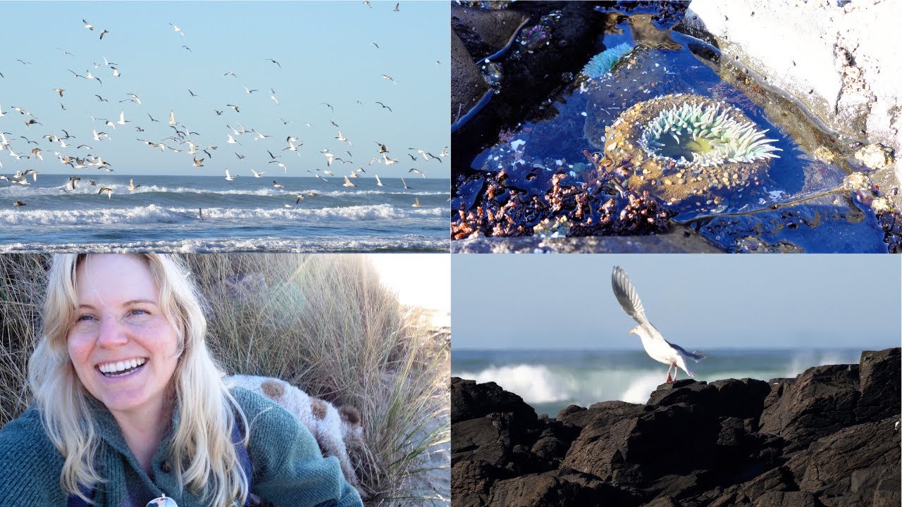 Birds, Tide Pools, & Rockhounding | Oregon Coast