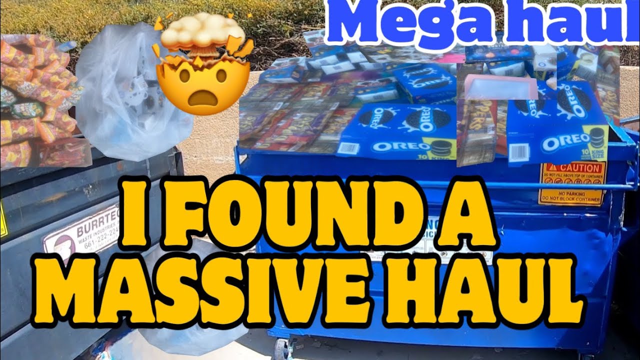 I FOUND THIS MASSIVE HAUL LOADED WITH GOODIES WHILE DUMPSTER DIVING!