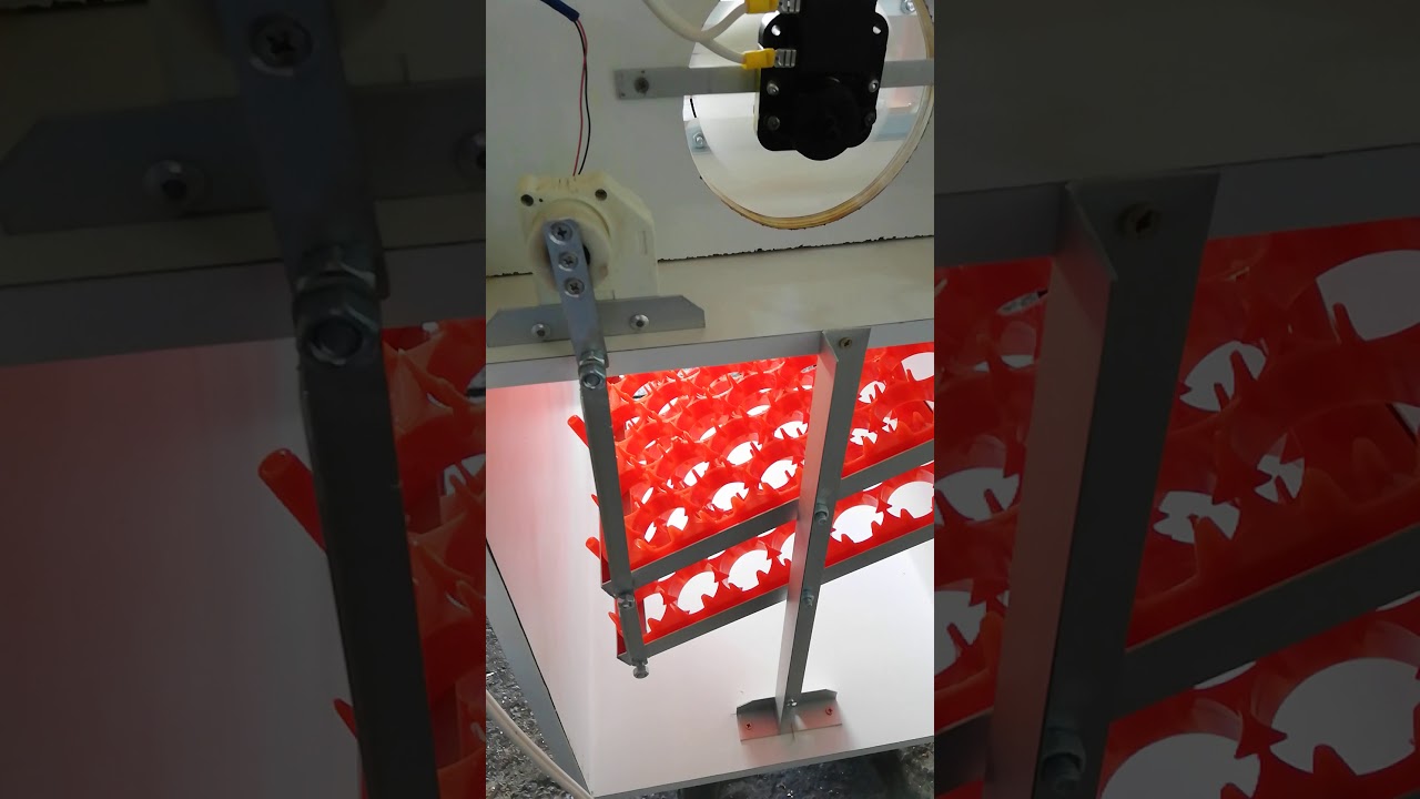 Motor de 12v  para incubadora