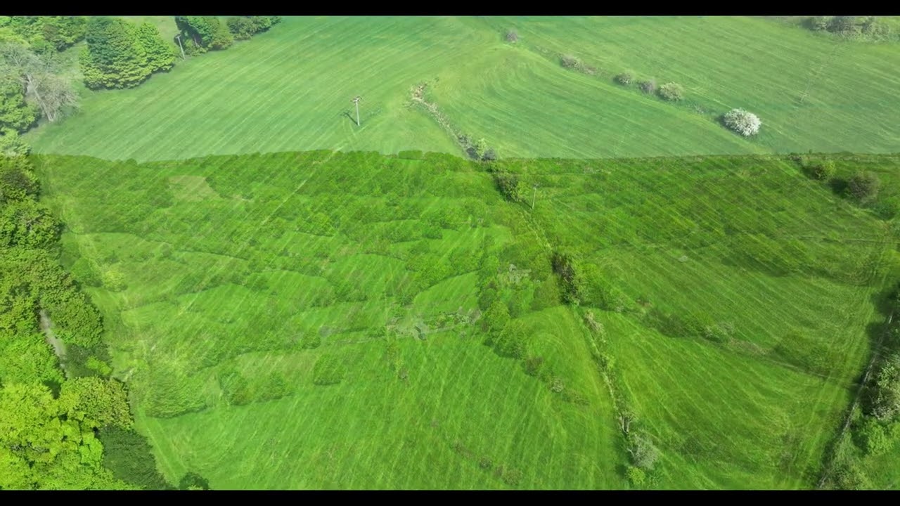 Shibden Valley May 2022