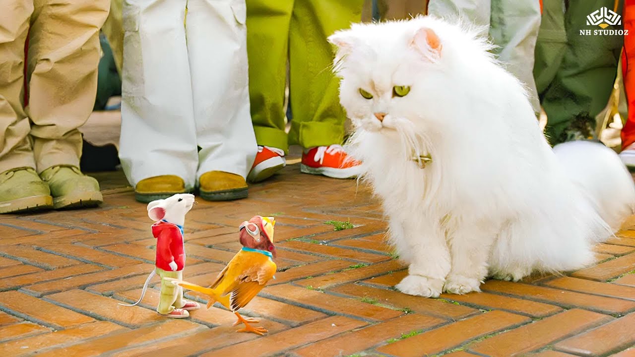 Snowbell बुरा फँस गया Stuart और उसकी GF के बीच | Stuart Little (2002) Hindi Dubbed Cartoon Movie