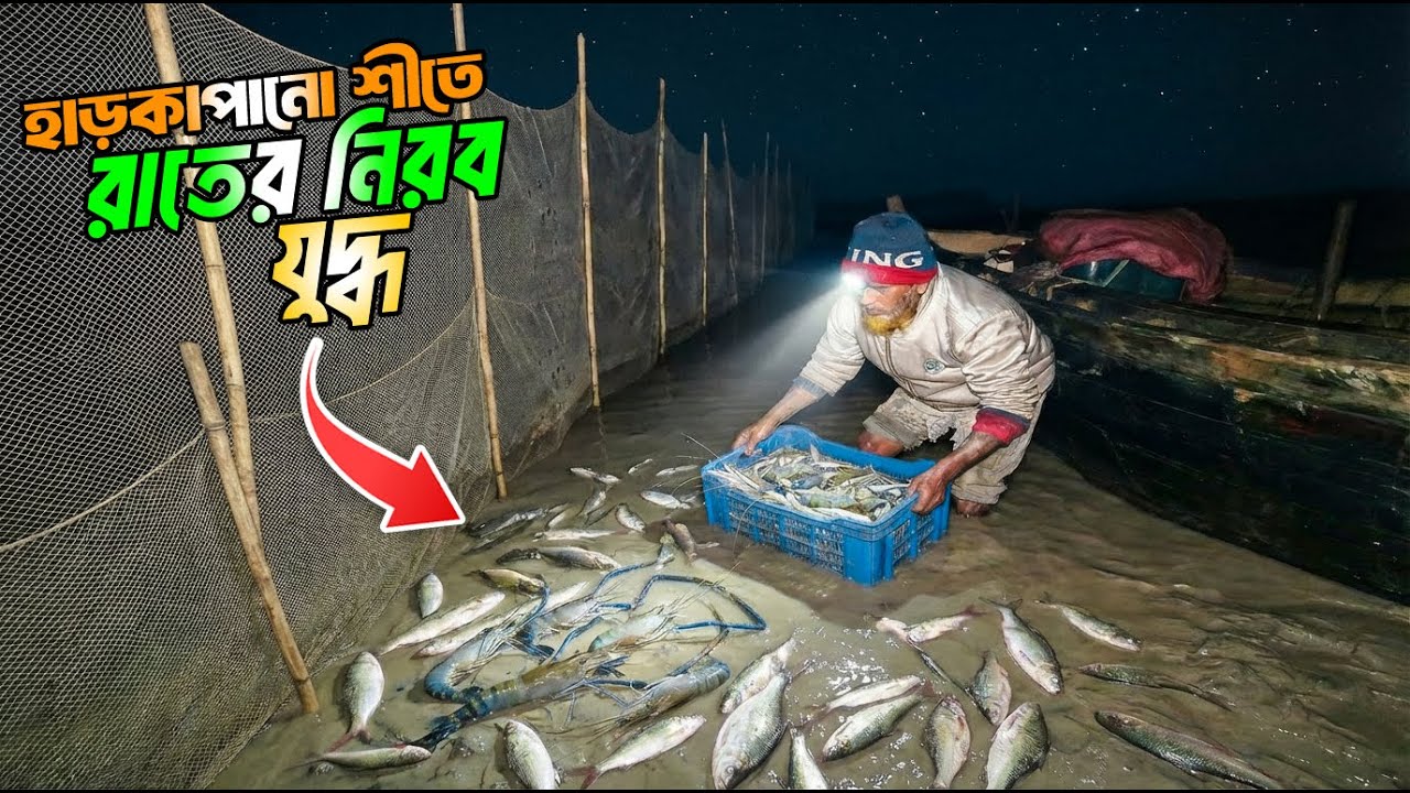 Flood of fish in nets as low tide falls! Fishermen of Sundarbans face a loss | Sundarban Fishing ...