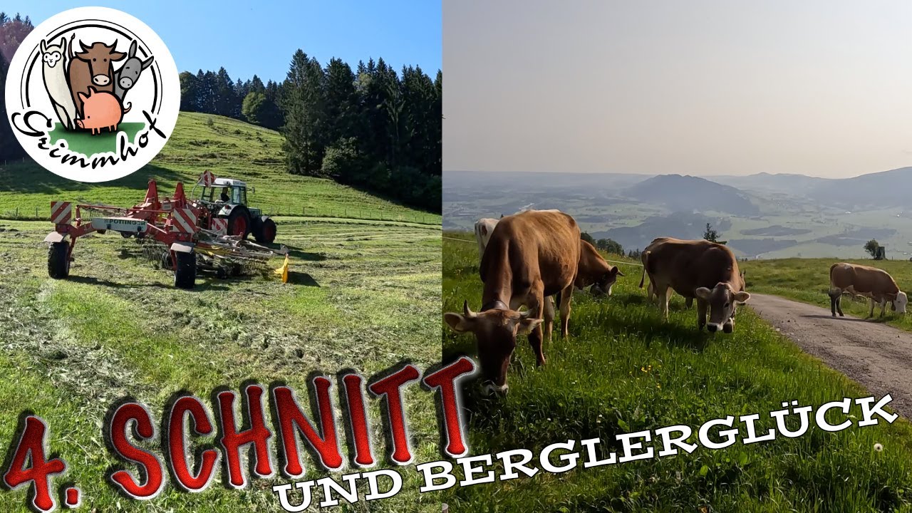 FarmVLOG#350 - 4. Schnitt und Berglerglück