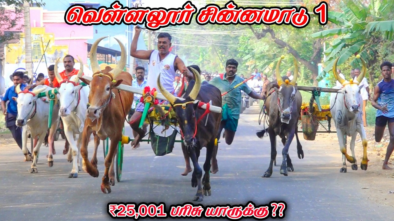 1வெள்ளலூர்-சின்னமாடு-பந்தயம்_08.03.2026_V_Photography