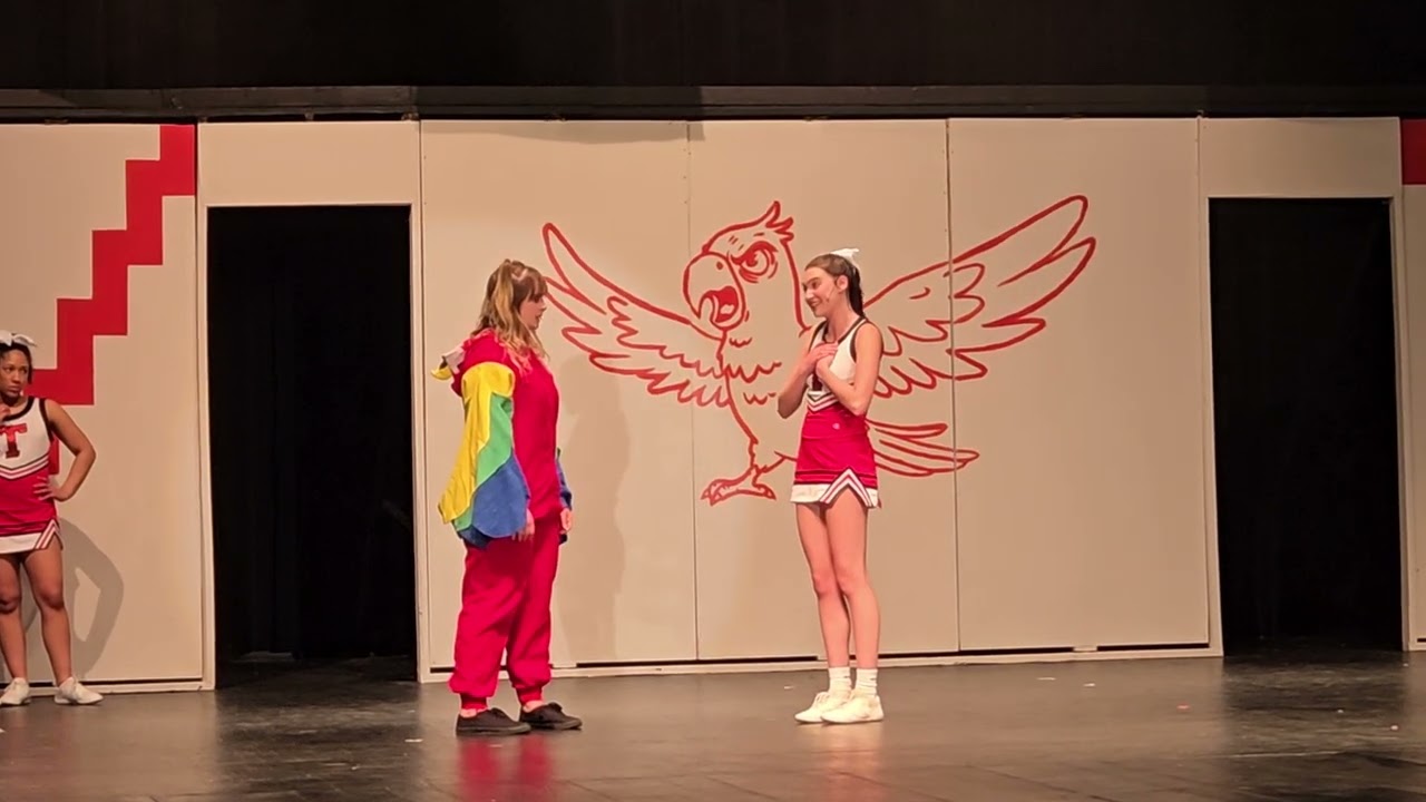 Bring It On - I Was l Born To Do