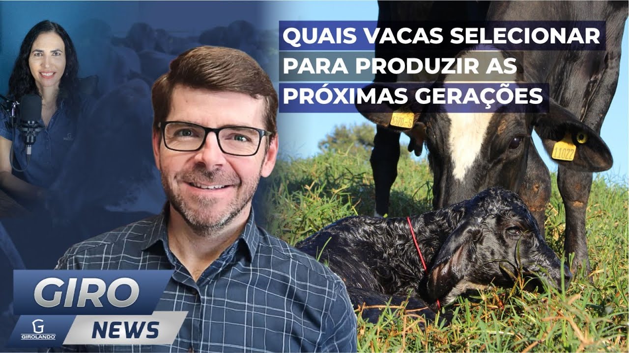 Quais vacas selecionar para produzir as próximas gerações - #Gironews93