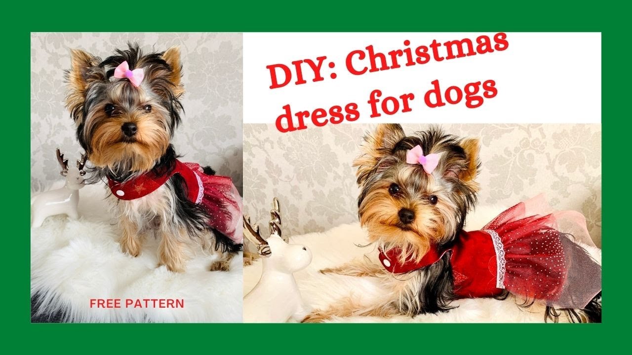 DIY: Really EASY DOG CHRISTMAS DRESS, with free pattern